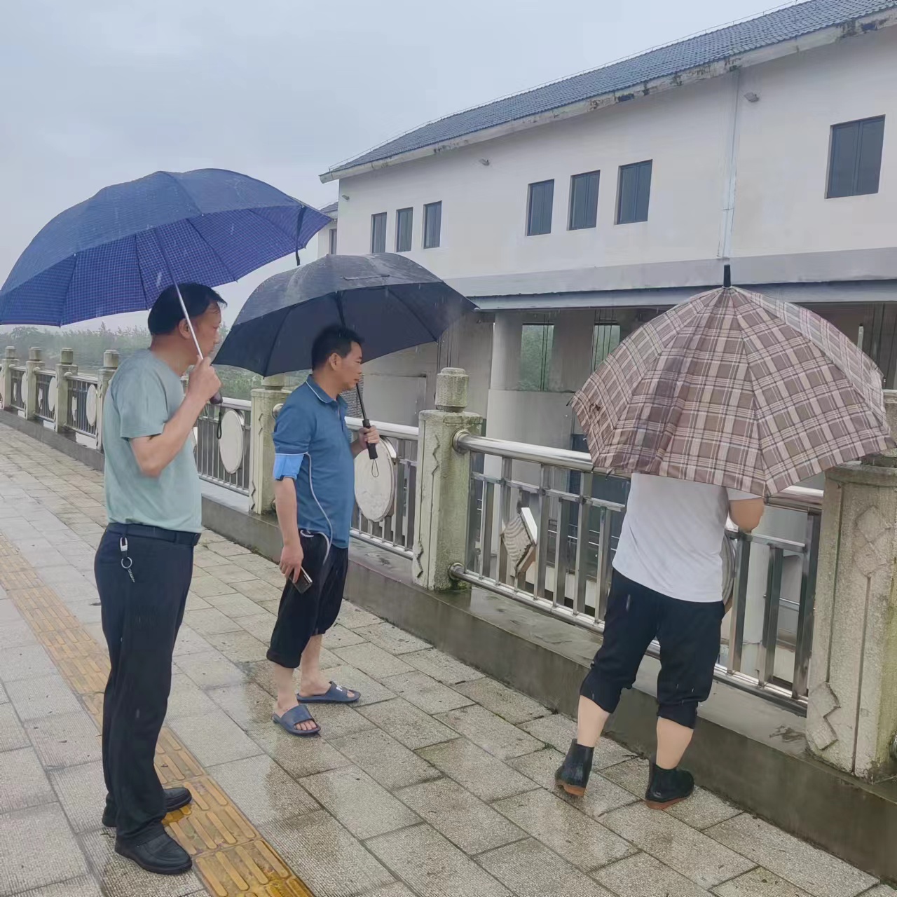 香港历史记录近15期查询